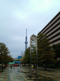 東京夢舞いマラソン_a0036808_15375448.jpg