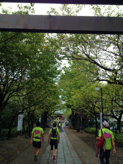 東京夢舞いマラソン_a0036808_15422750.jpg