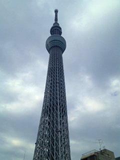 東京夢舞いマラソン_a0036808_1543820.jpg