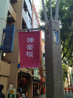 東京夢舞いマラソン_a0036808_15443089.jpg