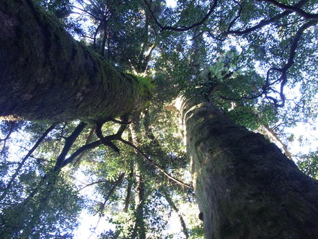 f0024109_146359.jpg