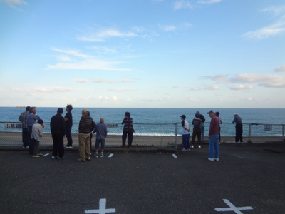 10/10~11☆熊野一泊の旅☆_a0154110_842353.jpg