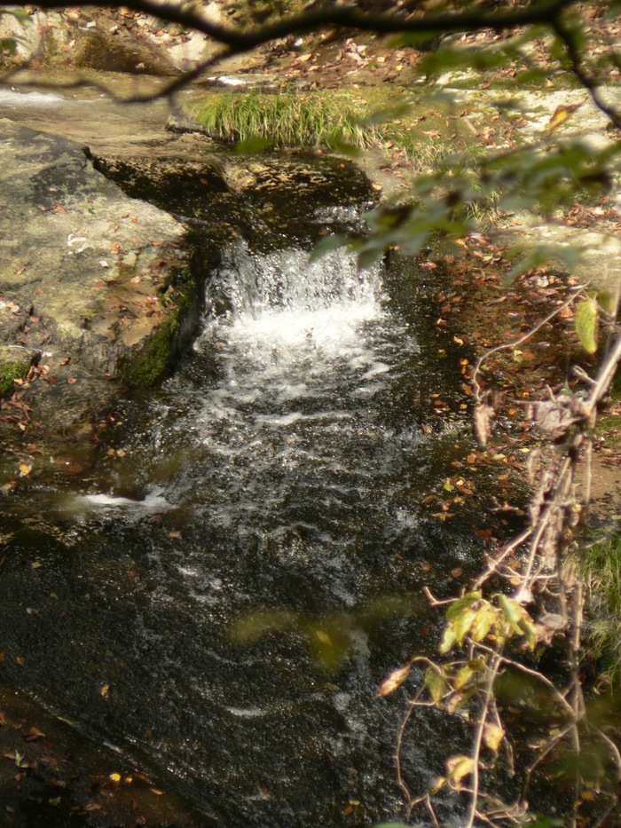 f0219710_10131420.jpg