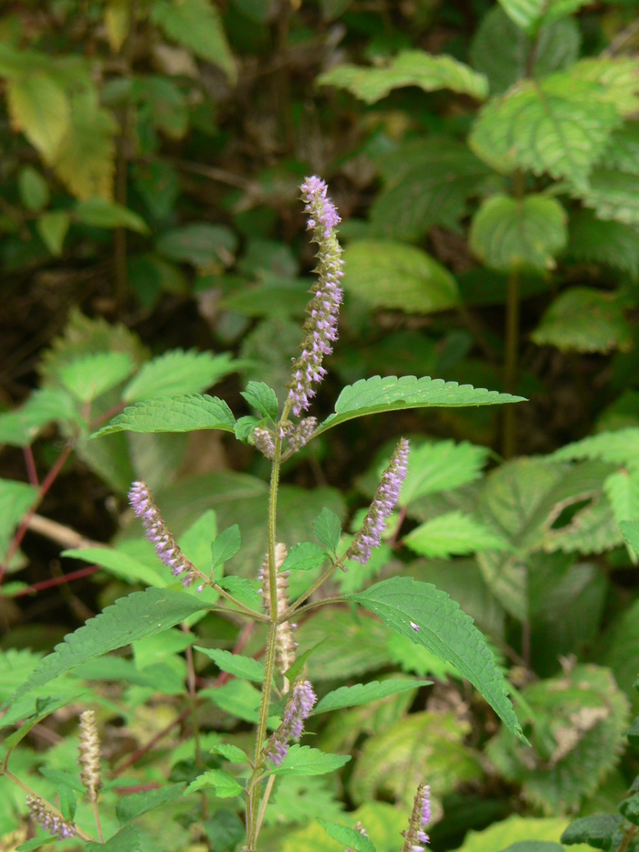 f0219710_10145664.jpg