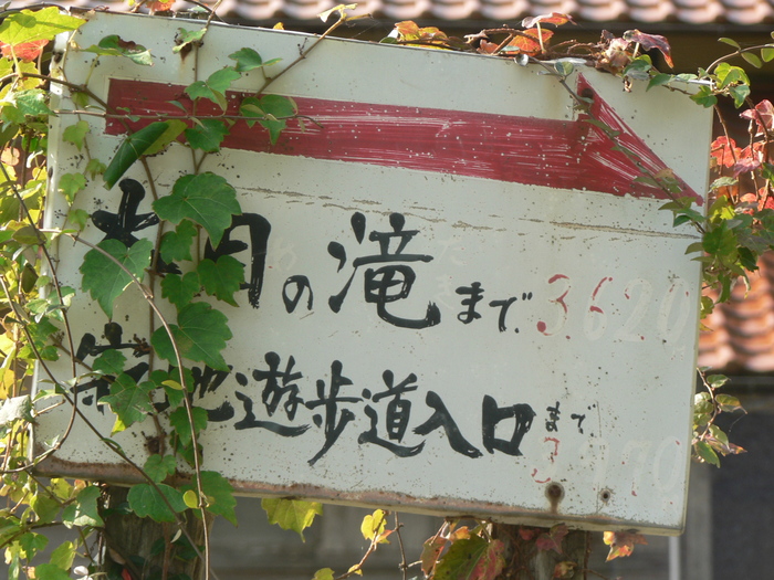 f0219710_717264.jpg