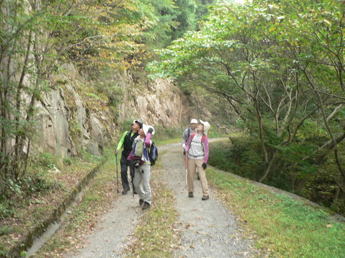 f0219710_7212236.jpg
