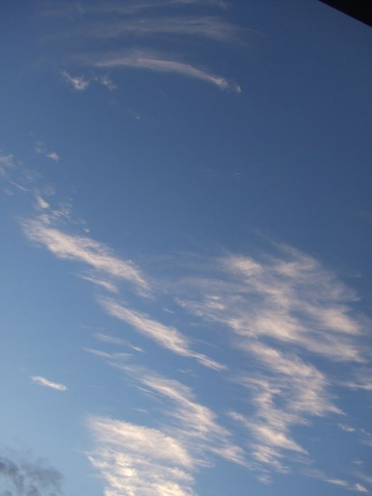 c0167813_17401928.jpg
