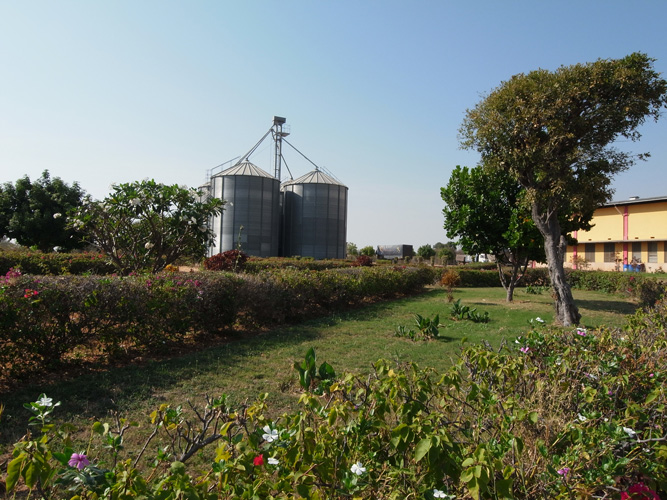 f0213817_59318.jpg