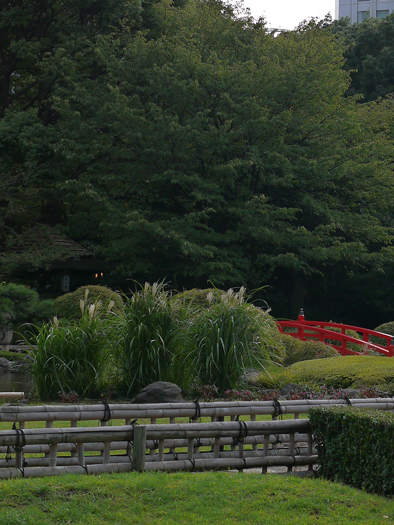 東京東ロータリークラブ卓話_a0169924_1855387.jpg