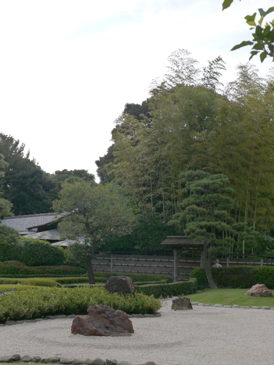 東京東ロータリークラブ卓話_a0169924_1862131.jpg