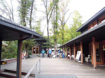 a0090126_2326640.jpg