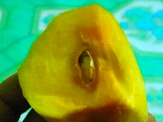 b0239629_05057.jpg