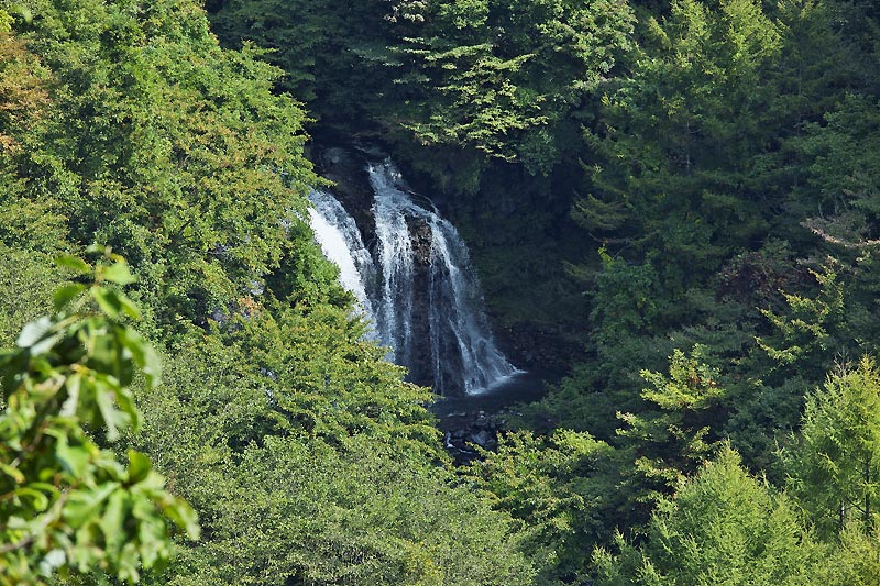 b0179231_11341738.jpg
