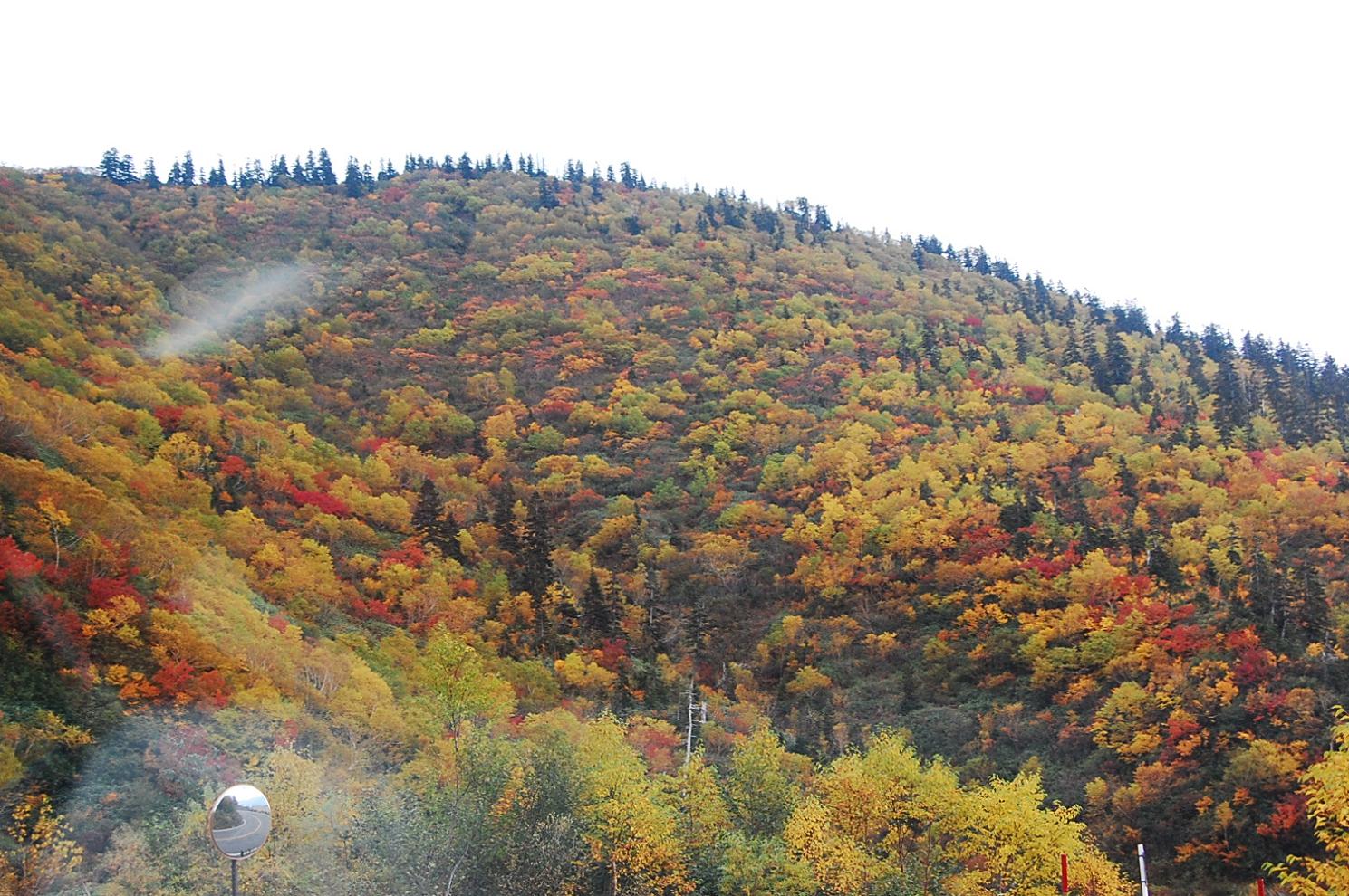 e0290331_10134250.jpg
