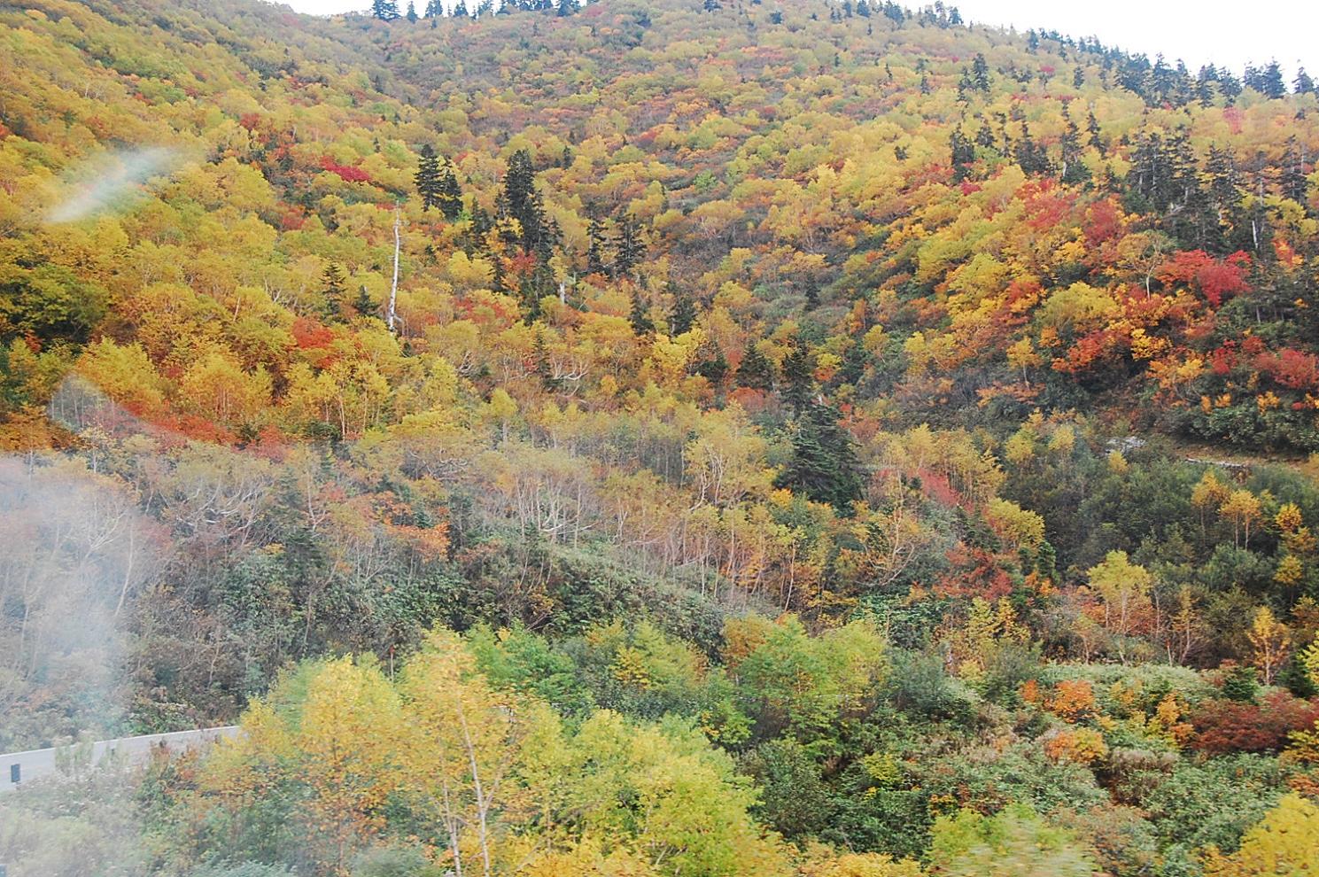 e0290331_10153716.jpg