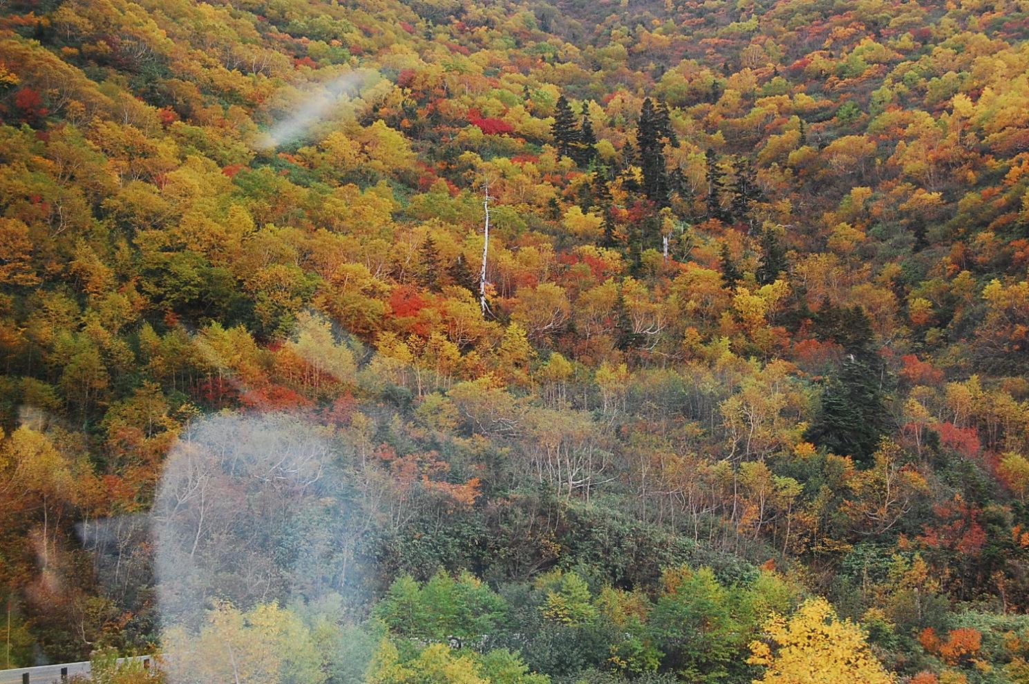 e0290331_1015687.jpg
