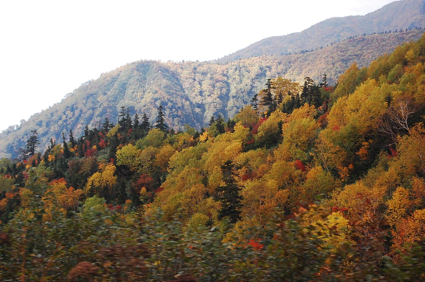 e0290331_1016229.jpg