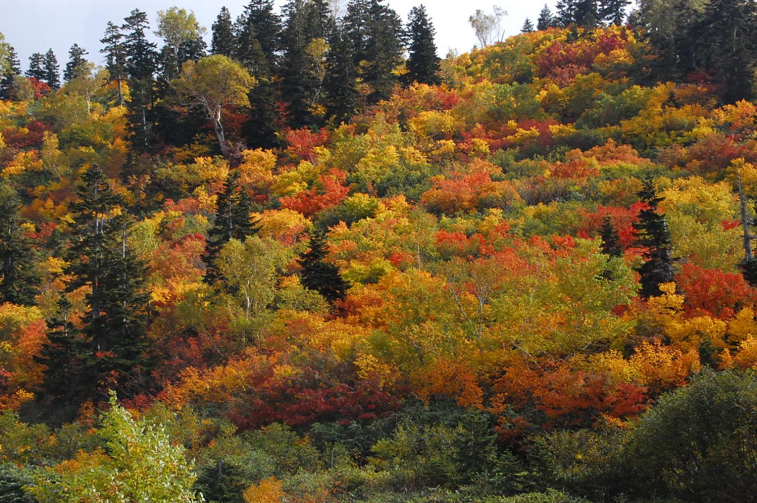 e0290331_10203936.jpg