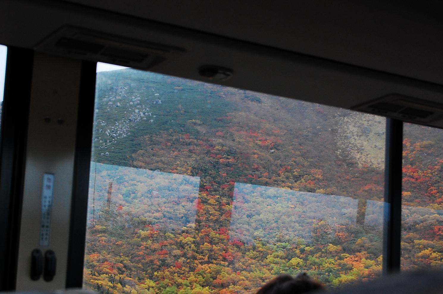 e0290331_107130.jpg
