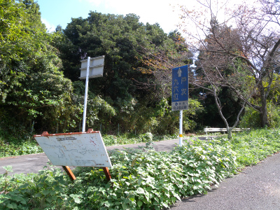 e0272335_20325135.jpg