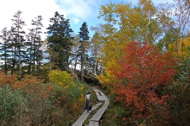 c0002943_16502562.jpg
