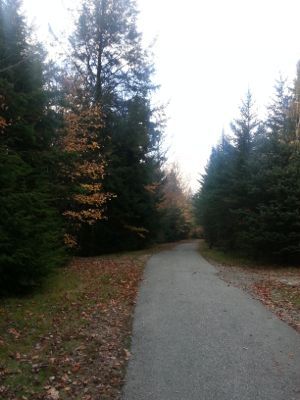 d0200143_12475058.jpg