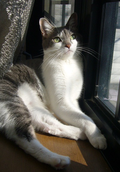 f0002743_1472557.jpg
