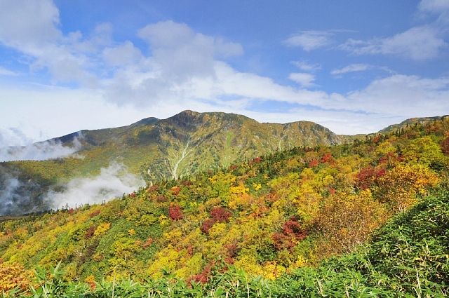 b0122448_2022186.jpg