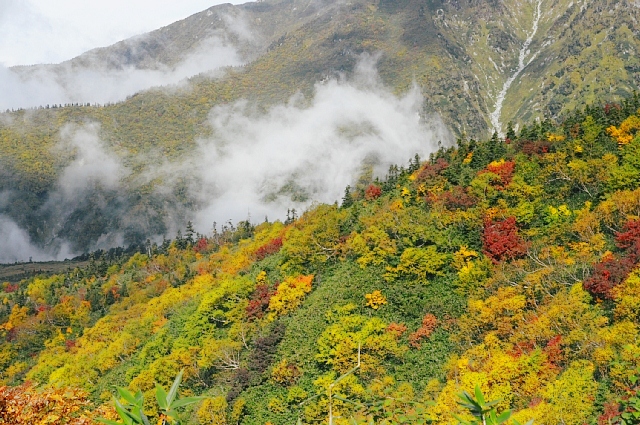 b0122448_206574.jpg