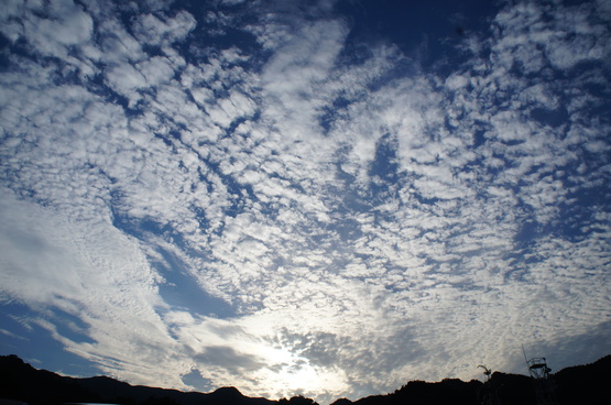 b0242248_1226810.jpg