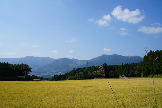 b0242248_9402050.jpg