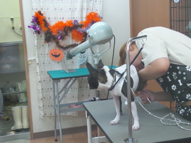 d0155952_10583169.jpg