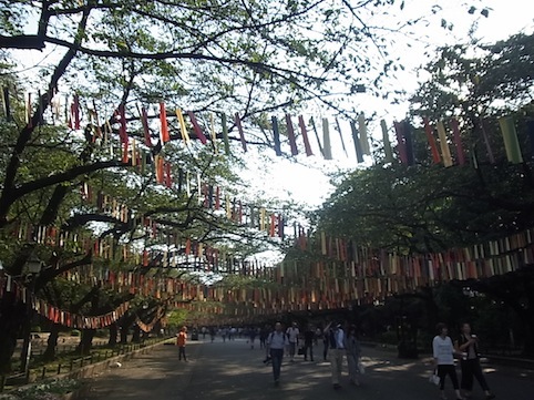 c0113755_32853.jpg