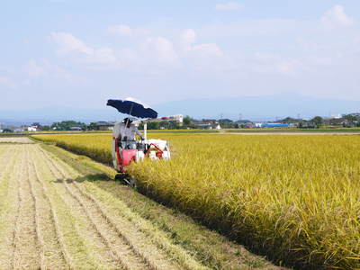 砂田米　ご飯がごちそうになるお米の稲刈り　その2_a0254656_1622633.jpg