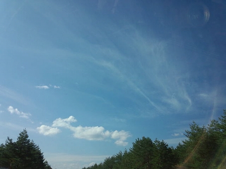 c0097558_11555032.jpg