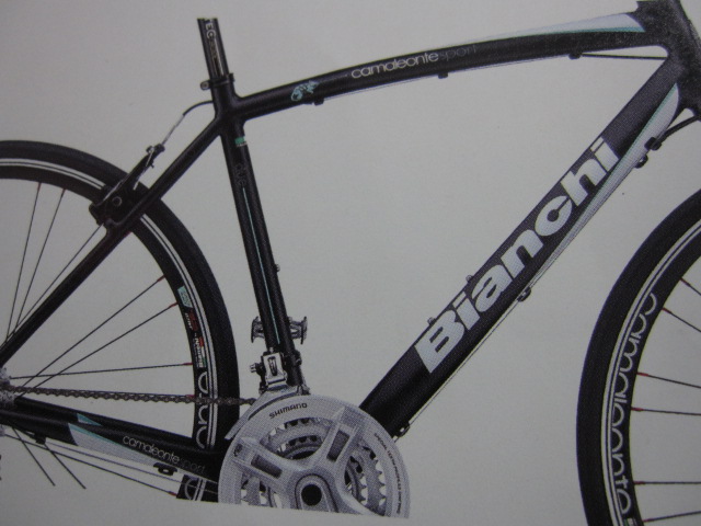 Bianchi カスタム ペイント _e0188759_131854100.jpg