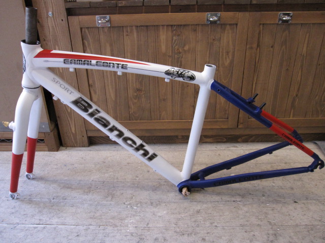 Bianchi カスタム ペイント _e0188759_13193841.jpg