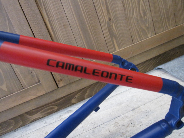 Bianchi カスタム ペイント _e0188759_13201114.jpg