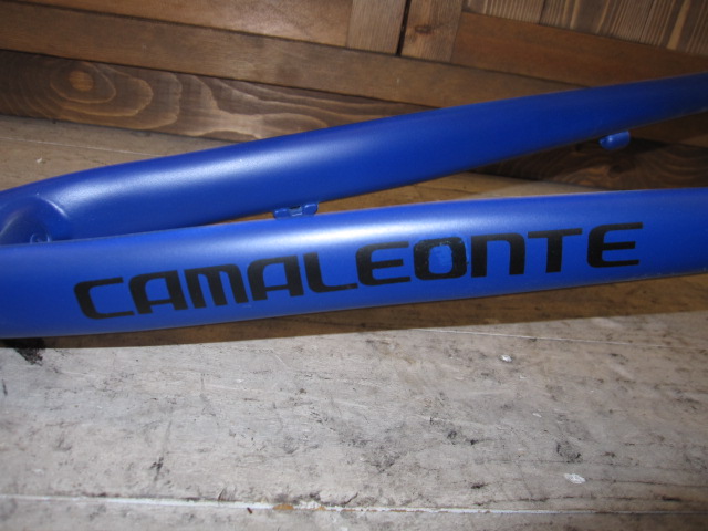 Bianchi カスタム ペイント _e0188759_1320470.jpg