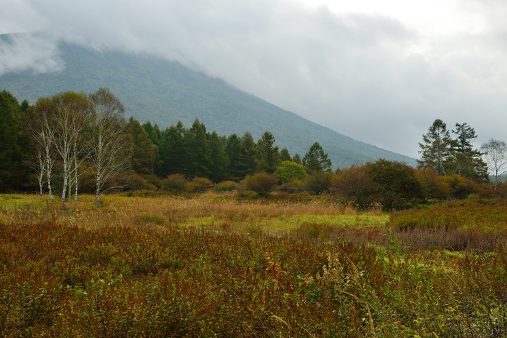 奥日光 戦場ヶ原 1 ~草紅葉~_f0222161_11122927.jpg