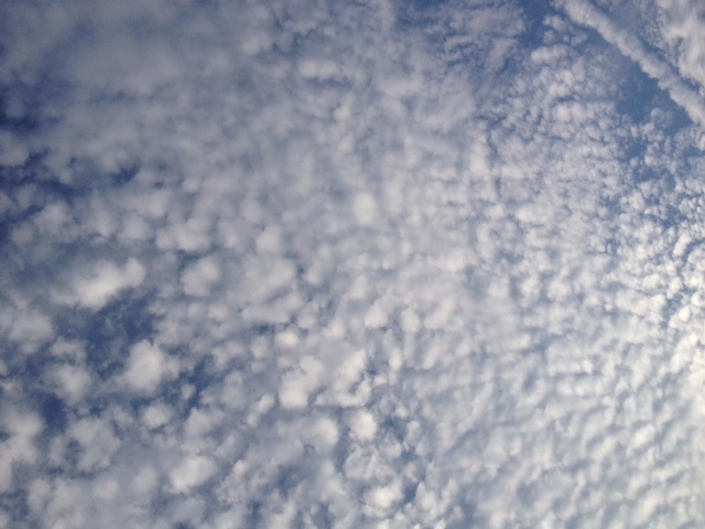 秋の空_d0129766_11425928.jpg