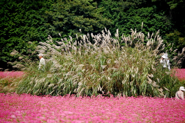 d0172270_0383681.jpg
