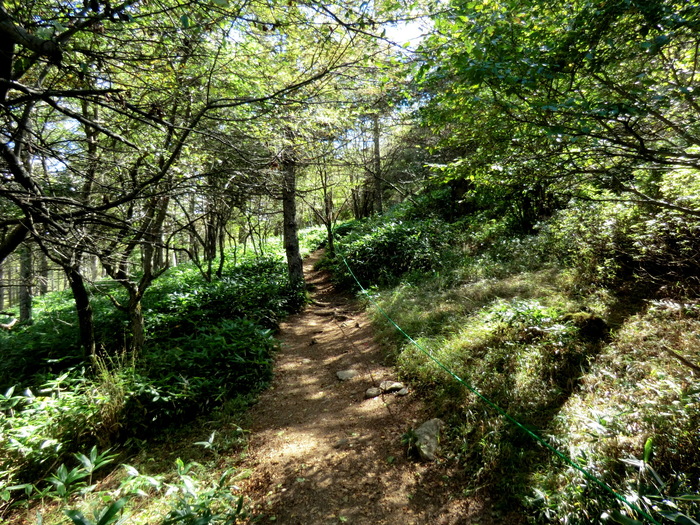 No244　おまけの山入笠山と金峰山・瑞牆山_b0185573_1856244.jpg