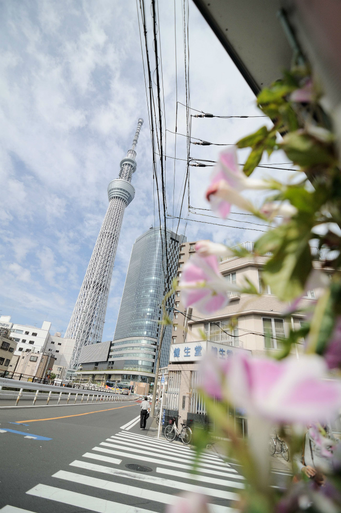 東京旅行（三日目）　-4-_c0235188_20275161.jpg