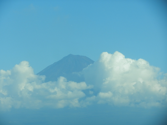 d0224990_21325228.jpg