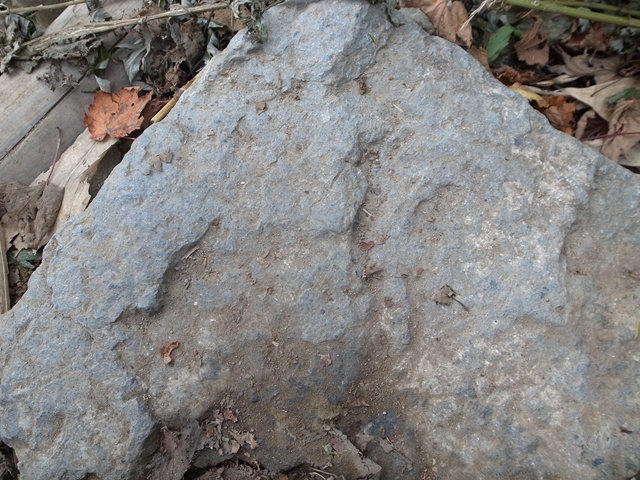 e0271890_02383.jpg