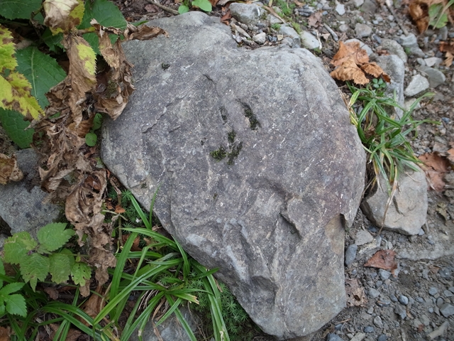 e0271890_025019.jpg