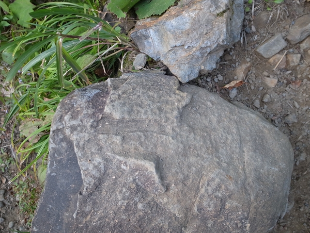 e0271890_03682.jpg