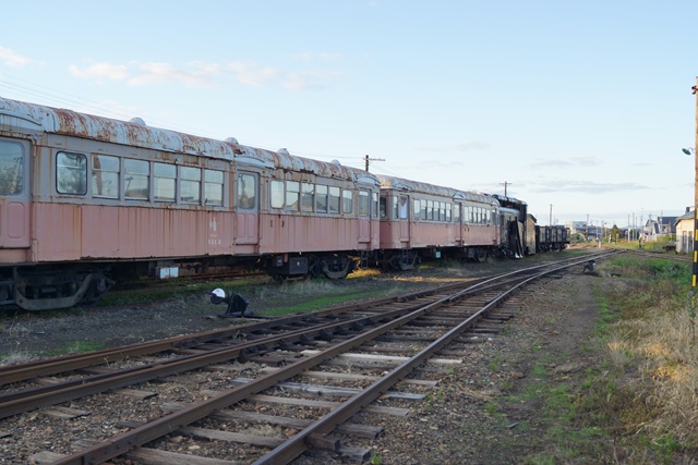 津軽鉄道の秋・・小樽運河 鮭、素敵な津軽鉄道、津軽鉄道と沿線の花、岩木山と津軽鉄道、岩木山とりんご_d0181492_9455147.jpg