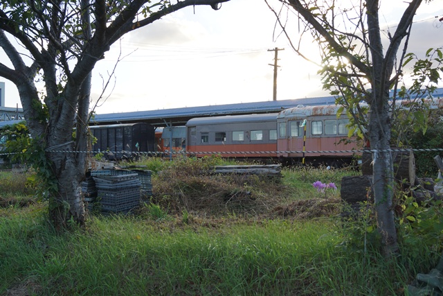 津軽鉄道の秋・・小樽運河 鮭、素敵な津軽鉄道、津軽鉄道と沿線の花、岩木山と津軽鉄道、岩木山とりんご_d0181492_947452.jpg